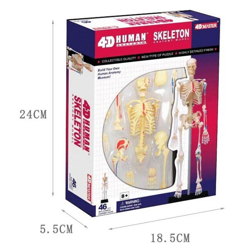 4d Human Full Skeleton Anatomy - Medical Lab Technology 评论和价格